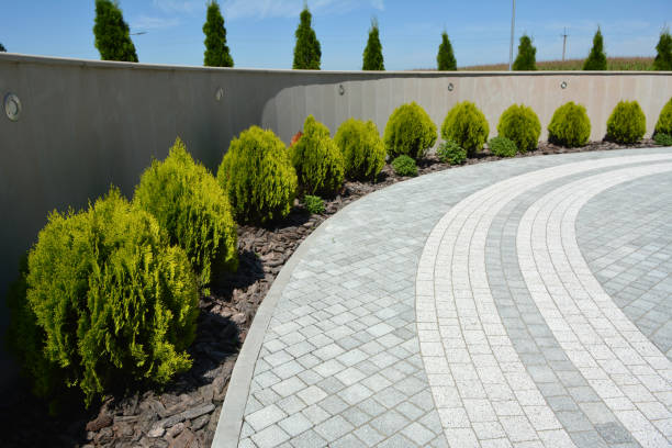 Professional Driveway Pavers in Whitewater, WI